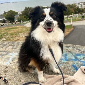 MOVING SALE EVERTHING MUST GO